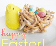 Birds Nest Easter Desert