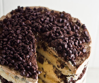 Chocolate chip cake