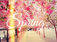 Spring