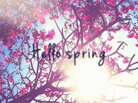 Hello Spring