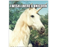 I wish i were a unicorn