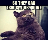 So they can track your phone but lost a plane?