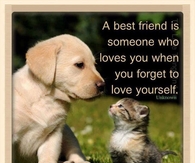 a best friend