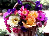 Basket of Flowers