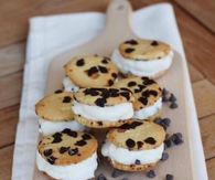Chocolate chip Ice cream sandwich