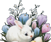 Bunny and Chicks Hatching in Spring