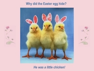 Why did the easter egg hide?