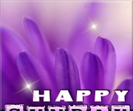 Happy Sunday