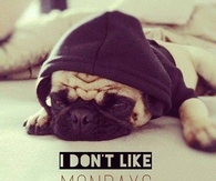 I dont like Mondays
