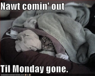 Nawt comin out til monday gone