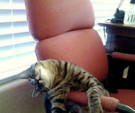 Its monday again
