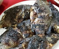 Grilled tilapia