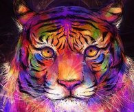 Artful tiger