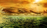 Sunbeams