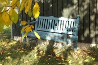 Hidden bench