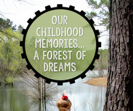 Forest of dreams