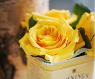 Yellow roses in a box