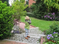 Pictures in the garden