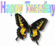 Happy Tuesday