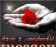 Have a wonderful Tuesday