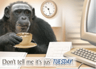 Dont tell me its just Tuesday