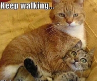 keep walking