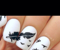 Feather and bird nails