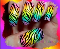 Zebra print colorful nails