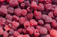 Raspberries