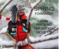 Spring Forward
