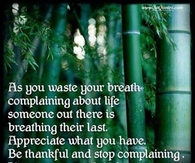 as you waste your breath complaining