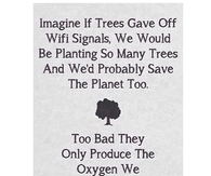 Imagine If
