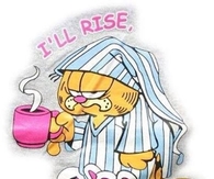 Ill rise but I wont shine