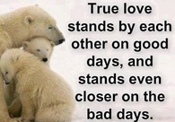 True Love