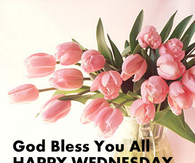 Happy Wednesday