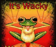 Its wacky wednesday