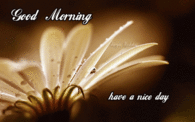 Good morning, have a nice day