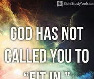 God has not called you to fit in