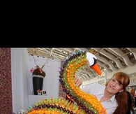 Fruit Swan