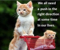 we all need a push in the right direction