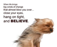 Believe