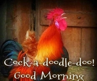 Good Morning