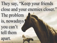 friends and enemies
