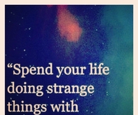 Spend your life doing strange things with weird people