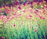 Hello Spring