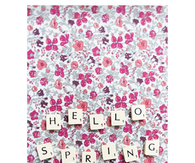 Hello Spring