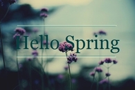 Spring
