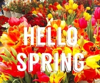 Hello Spring