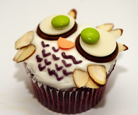 Owl cupcake