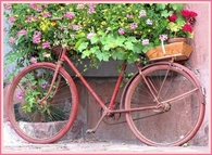 Vintage Bike